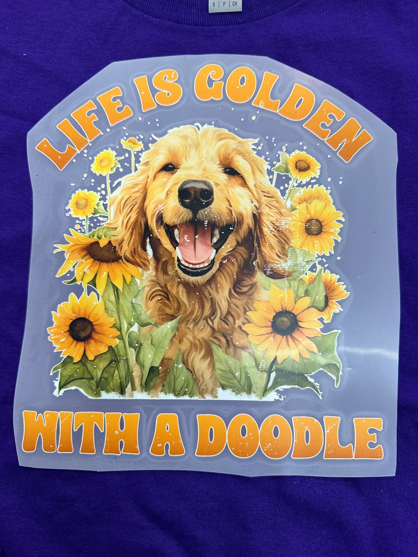 Pet Transfers