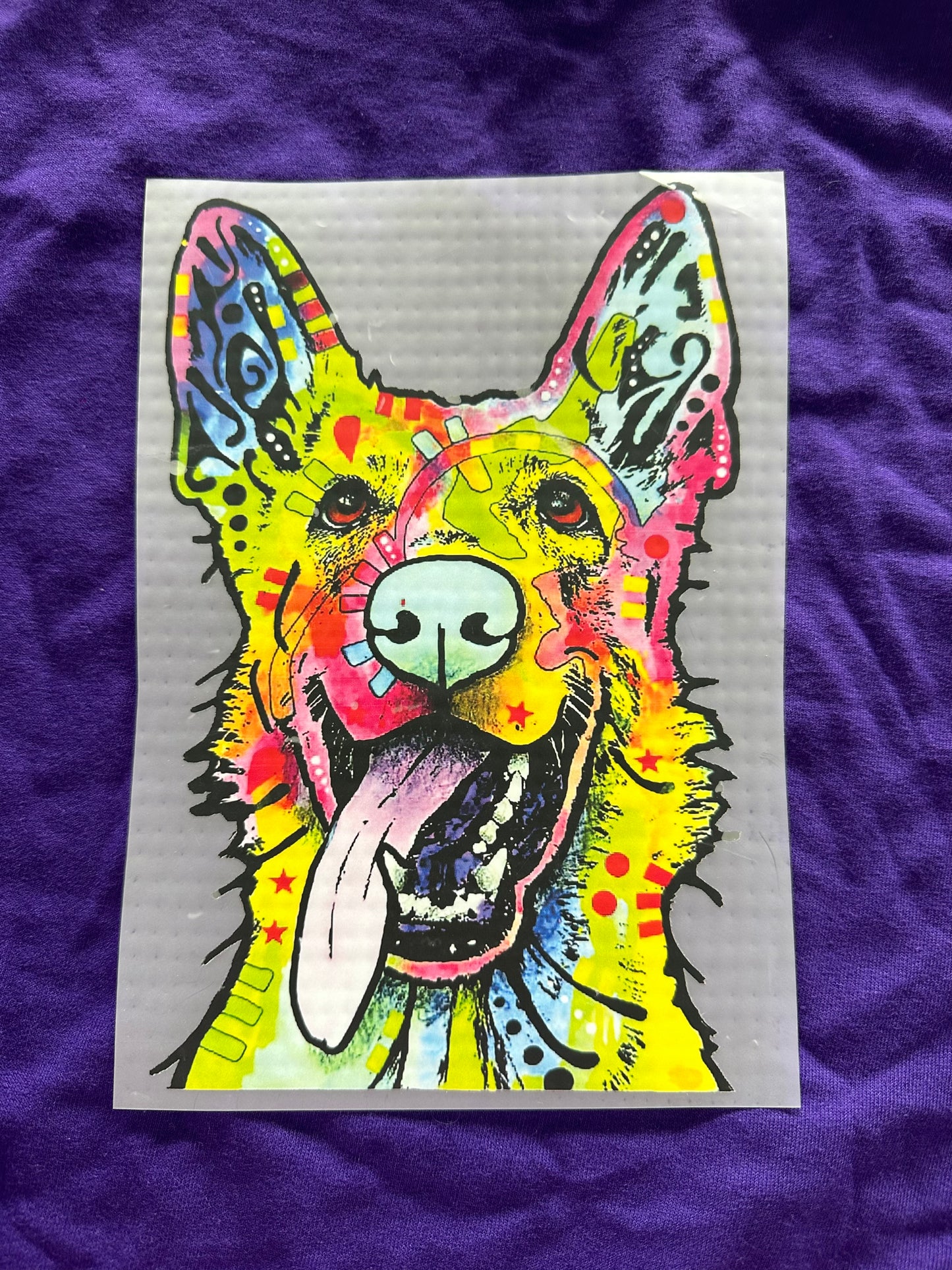Pet Transfers