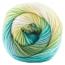 COLORFUSION DK | Premier Yarns Collection