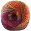 COLORFUSION DK | Premier Yarns Collection