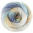 COLORFUSION DK | Premier Yarns Collection