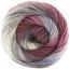 COLORFUSION DK | Premier Yarns Collection