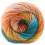 COLORFUSION DK | Premier Yarns Collection